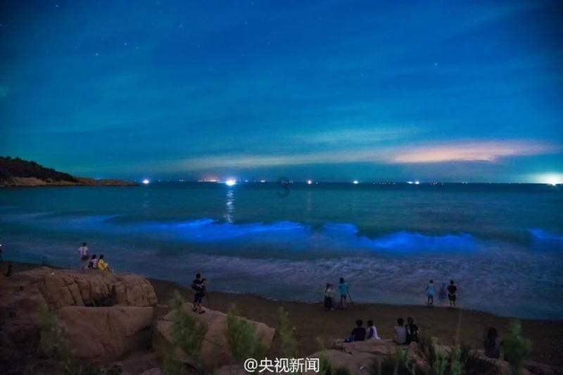 Vinsbäh腕宝：高颜值实力派